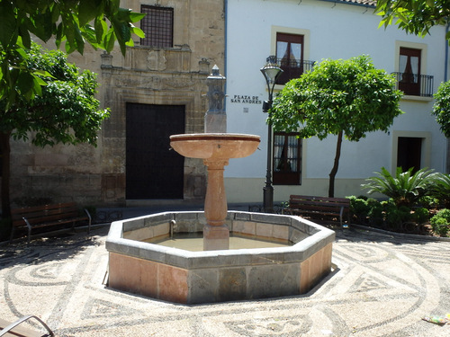 Fountain and traditional stone walkway designs.